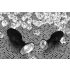 You2Toys - anaalplug met diamantje - siliconen - klein