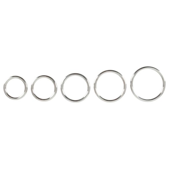 Bad Kitty - metalen peniskringen set (5-delig)