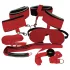 Bad Kitty - BDSM set - rood