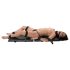 You2Toys - Bondage Board - draagbare bindset (13-delig)