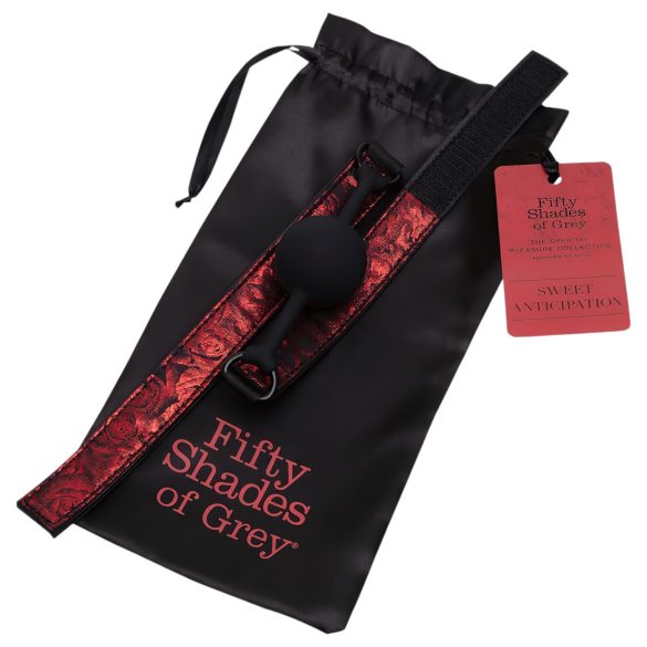 Fifty Shades of Grey - mondknevel - verstelbaar - zwart-rood