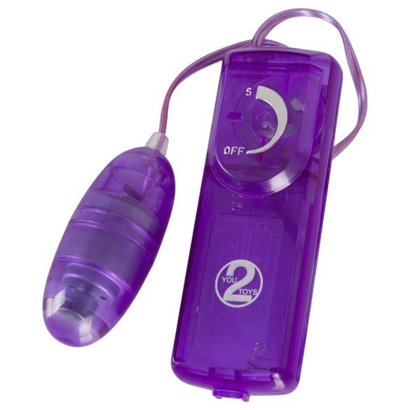 You2Toys - vibrator set - 9-delig - paars