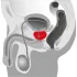 You2Toys - Prostaat vibrator - roterend - siliconen - zwart