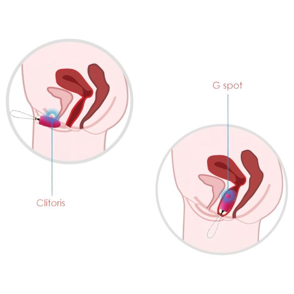 Svakom Elva - vibrerend eitje - oplaadbaar - afstandsbediening - rood