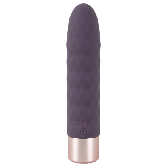You2Toys - vibrator staaf - oplaadbaar - paars