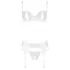Abierta Fina - bh set - transparant kanten design - zwart - 80B/M