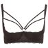Cottelli Plus Size - bandjes en ringvormige bustier (zwart)