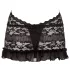Cottelli - Halter mini jurk - Kant - Zwart - L