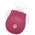 EIS Blush&Bloom - clitoris vibrator met zuigfunctie en vibratie - rood