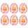 TENGA Egg Tube - Eivormige Masturbator (6 stuks)