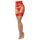 Obsessive Matildea - kanten hold-up kousen - rood