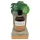 Coconutoil - biologische bruiningsolie - 80ml