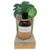 Coconutoil - biologische bruiningsolie - 80ml
