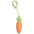 Oranje wortel-vibrator - Sex HD plezier