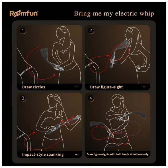 Roomfun - elektrische schokzweep (zwart)