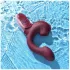 Magic Motion Magic Ponder - 2-in-1 rabbit vibrator - clitorisstimulatie