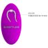 Pretty Love Algernon – oplaadbare, draadloze duo-vibrator (paars)