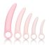CalExotics Inspire - Vaginale Dilator Set voor Gezondheid (roze)