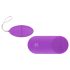 Easytoys - Vibratie-ei met afstandsbediening - 7 standen - Paars