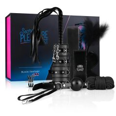   Secret Pleasure Chest - gevorderde BDSM set - 14-delig (zwart)