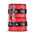 Secret Pleasure Chest - gevorderde BDSM set - 10-delig (rood)