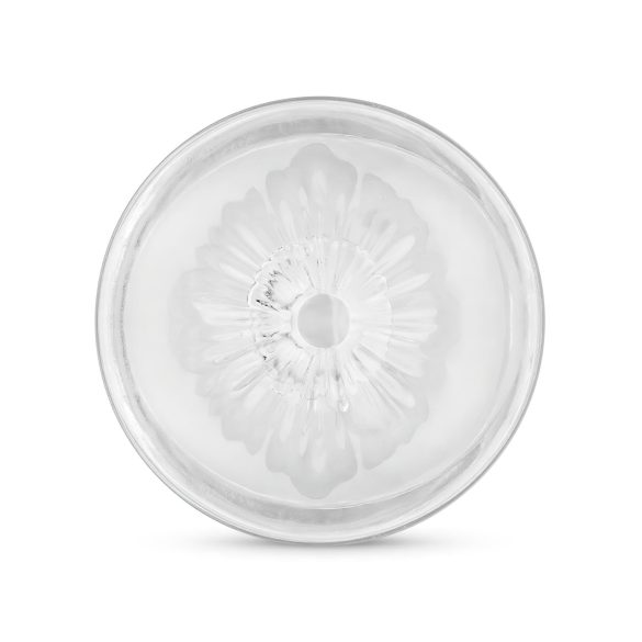 FPPR. - masturbator met twee openingen - vagina & anus - transparant