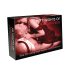FIFTY NIGHTS OF NAUGHTINESS - spicy spel voor gewaagde nachten (Engels)
