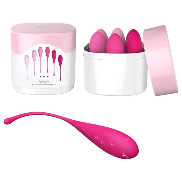 FEELZTOYS Femmefit - 6-delige Geishaballen-Set
