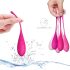 FEELZTOYS Femmefit - 6-delige Geishaballen-Set