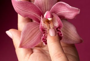 Win Vrouwendag met het Perfecte Cadeau